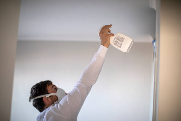 Best Bathroom Mold Remediation in Laguna Niguel, CA